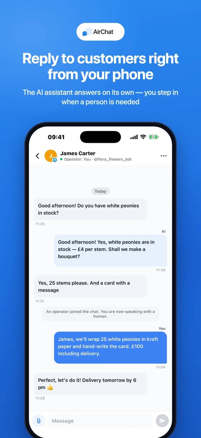 A customer conversation with AI replies